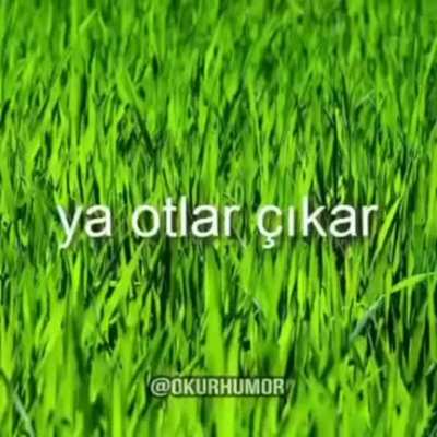 İki olasılık var
