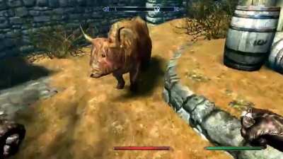 i got skyrim a few days ago