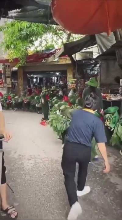 🇻🇳