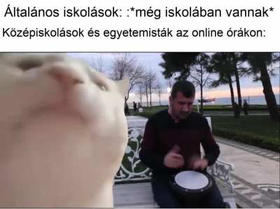 Muzik&aacute;lis fost