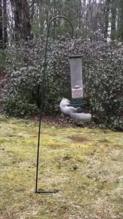 beautiful dance