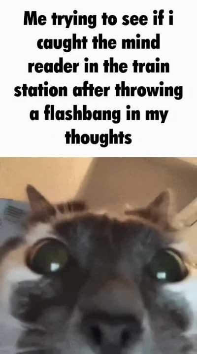 &zwnj;