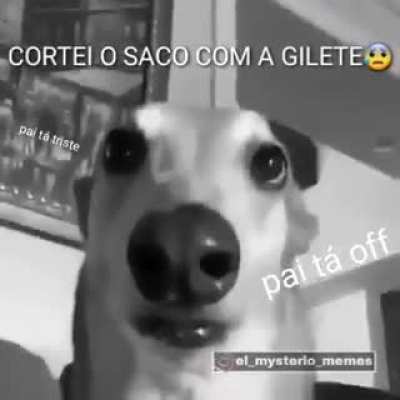 TRISTE NÉ MUCALOL