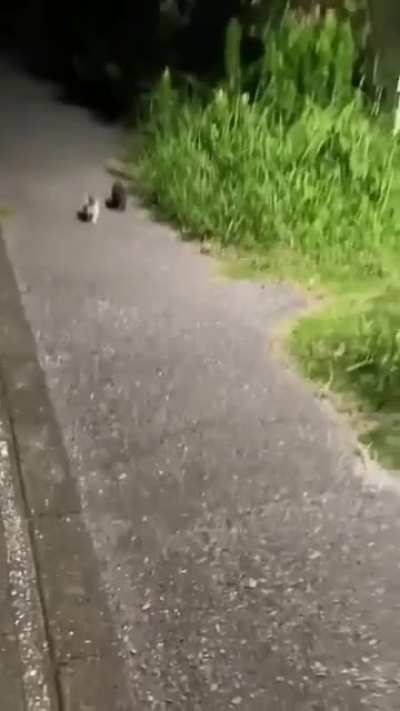 tWo stALkerS TerRoriziNG DefeNseless CItiZen