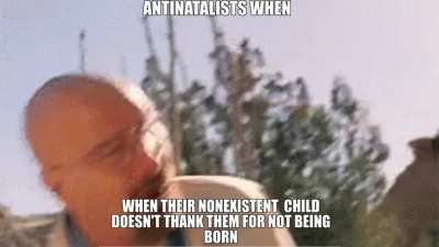 Mfw babies