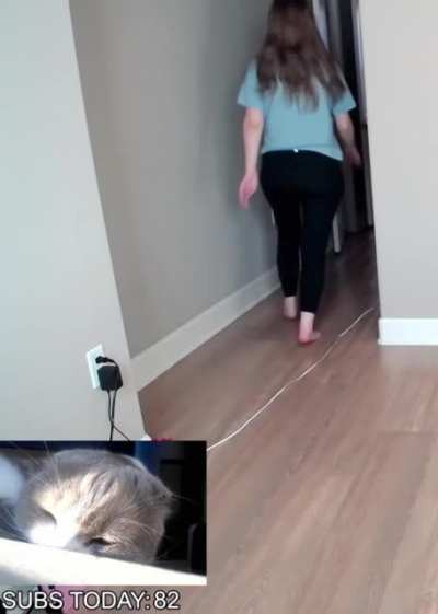 Booty
