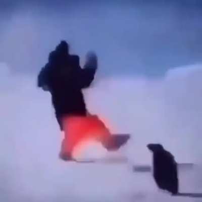 birb