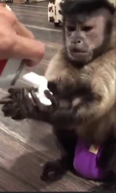 Orslok cuando no está en directo con el cromosoma XX