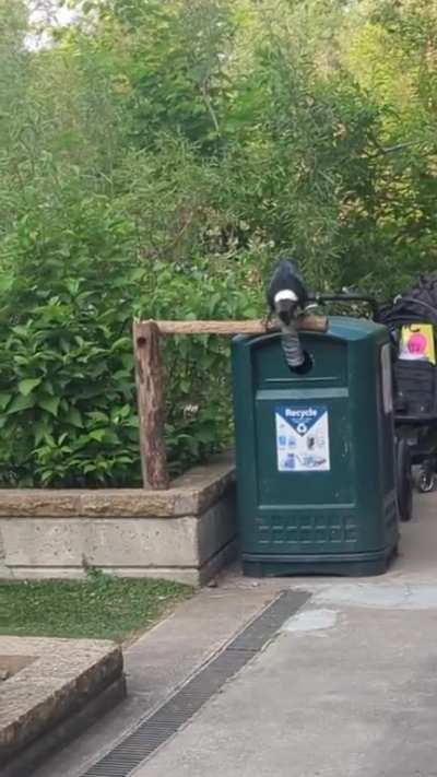 recycling is important for all Minnesota residents…
