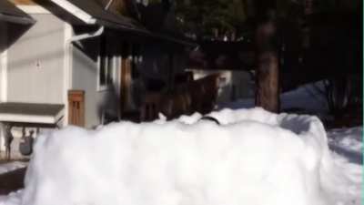 winter's not over yet