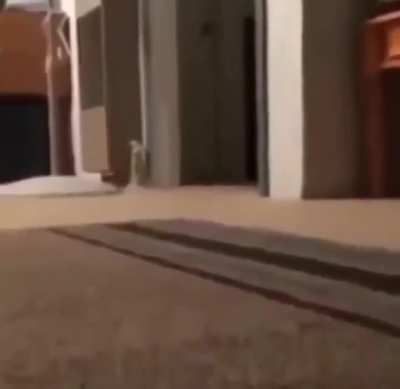 😳