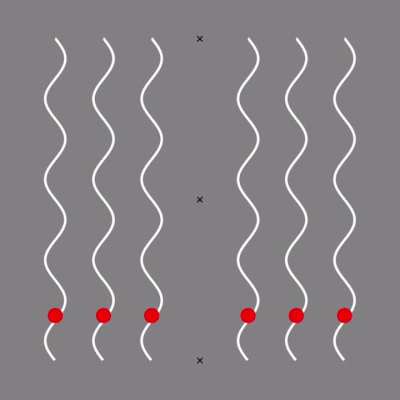 The Mainz-Linez illusion: red balls seem to follow a curvy path if you focus on the crosses
