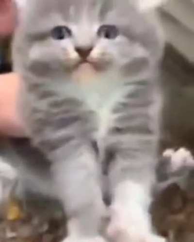 Oh he's not happy