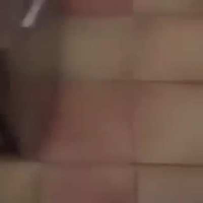 what the dog doing?