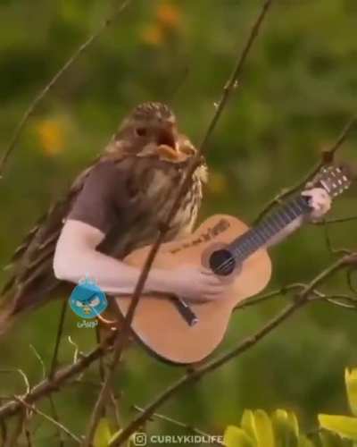 If birds had hands