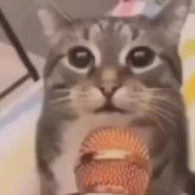 🎤
