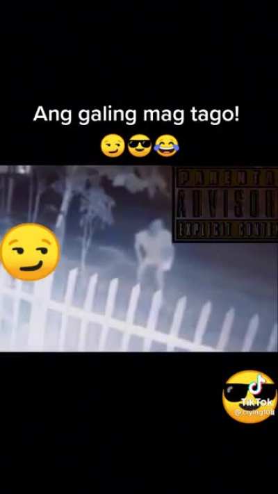 Sneak 100