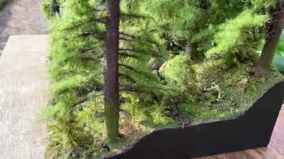 Sorry that it&rsquo;s a little late, but here is a video of the entire diorama + some CCR music because you asked for it.