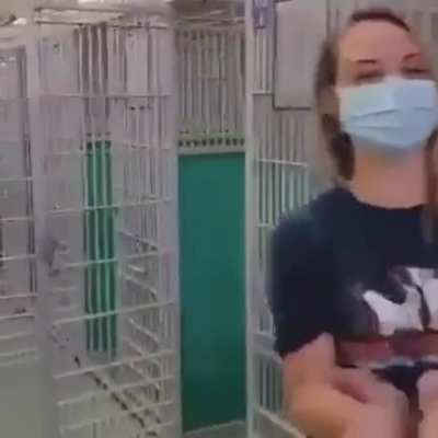 For the first time in history, this Palm Beach animal shelter is empty. ALL dogs were adopted. I would LOVE to see shelters all over the globe like this. Please consider adopting when you&rsquo;re looking for a pet.