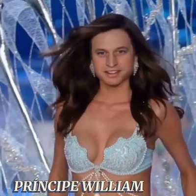 como o luba n&atilde;o aguenta mais ver seu rosto no de outras pessoas, eu fiz uma de presidentes e outras pessoas como modelos da victoria&rsquo;s secrect