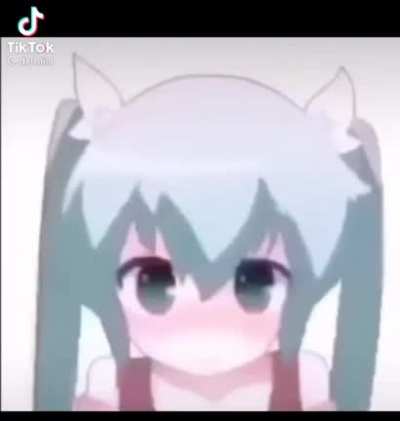 Xd