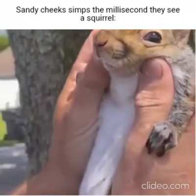 Lmao