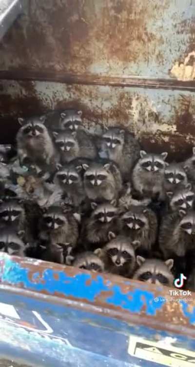So many!