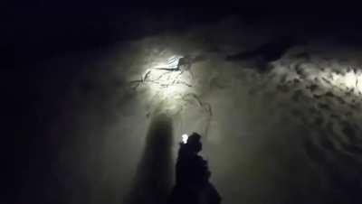 IDF captures Hamas exiting a tunnel
