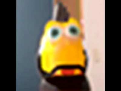 Meme feo XD