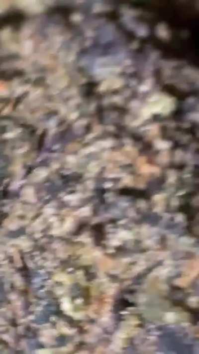 Mouldy?