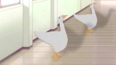 🦆