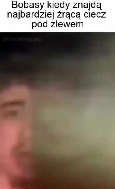 Tytuł