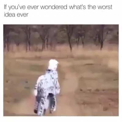 Эксперимент