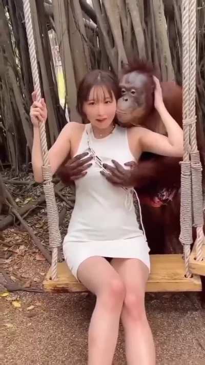 your excuse, bajs? 
