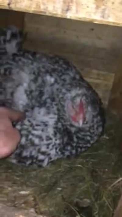 Чужих детей не бывает