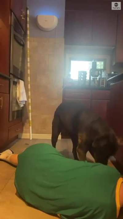 Owner tries to see dog&rsquo;s reaction to her death