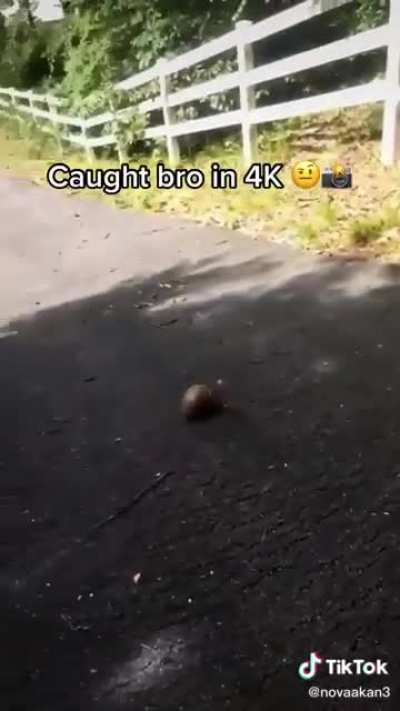 mans said i&rsquo;m out