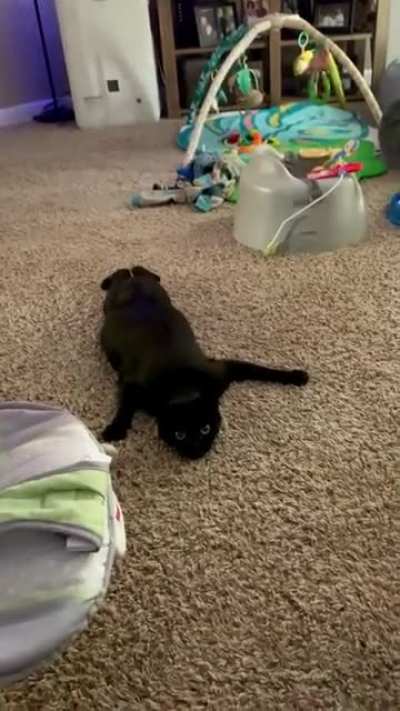 I fear that my strealth tricks have failed. How can I hide the evidance?