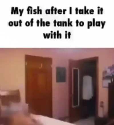 Fsh