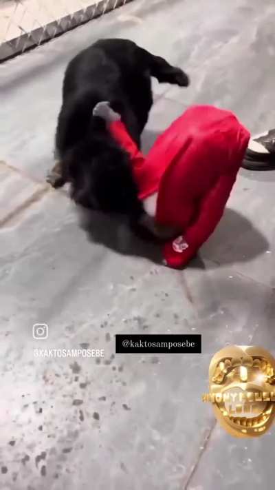 Niggas aint forget