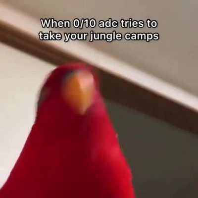 Don't even try it.