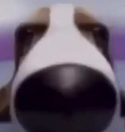 *does big sniff*
