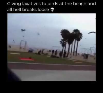 Don&rsquo;t give me ideas