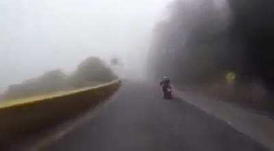 My fogg people need me