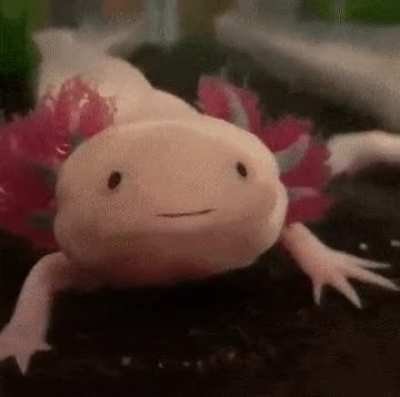 YAWNNNNN.....