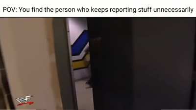 POV: You find the person who keeps reporting stuff unnecessarily