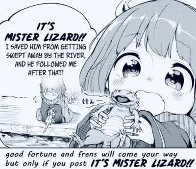 It&rsquo;s mr lizard