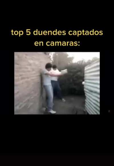 Para rodsito