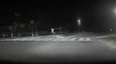 Why did the coyote cross the road