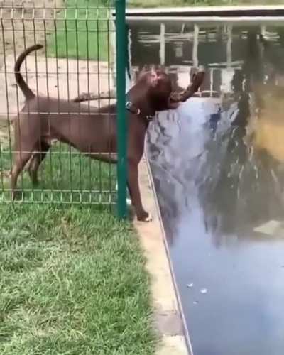 My stick and I are one, nothing can hold us back